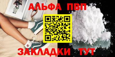 индика Можга