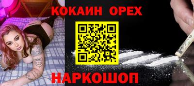индика Можга