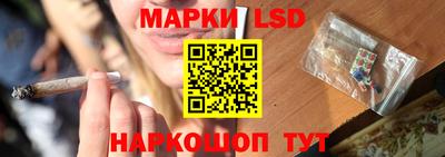 индика Можга
