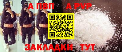 индика Можга