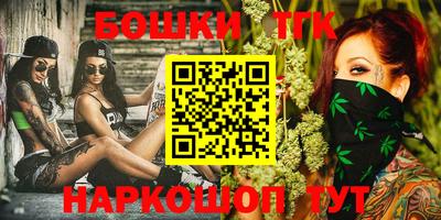 индика Можга