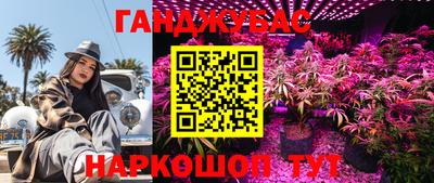 индика Можга