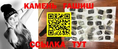 индика Можга