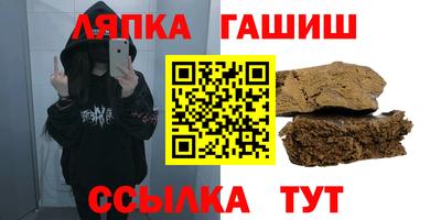 индика Можга