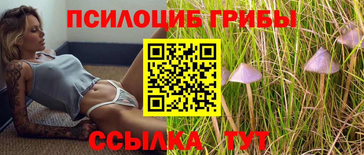 Галлюциногенные грибы прущие грибы Свободный