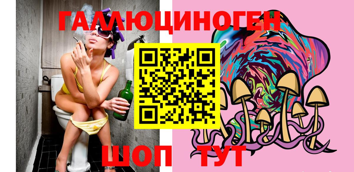 Псилоцибиновые грибы Psilocybe  Галлюциногенные грибы MAGIC MUSHROOMS  Вход с VPN  Свободный 